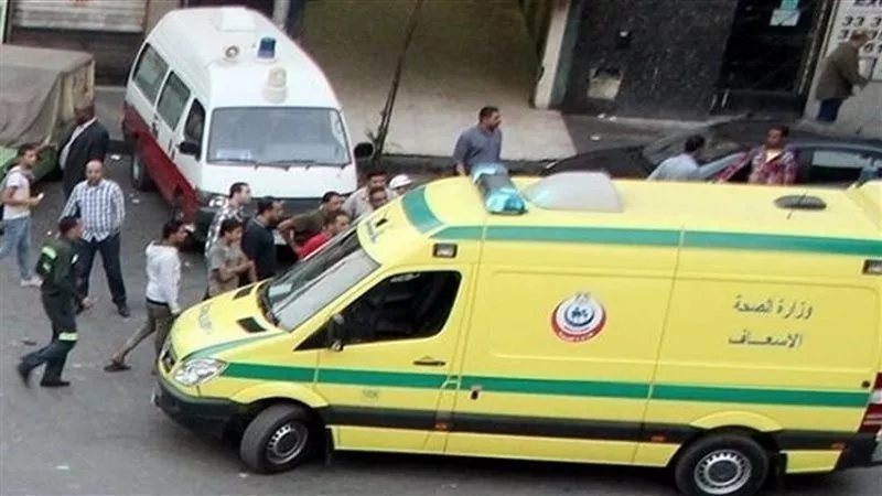 شهامة في مواجهة الإدمان، تفاصيل ليلة دامية نجت فيها سيدتان من سكين قاتل والدته بالمنيا