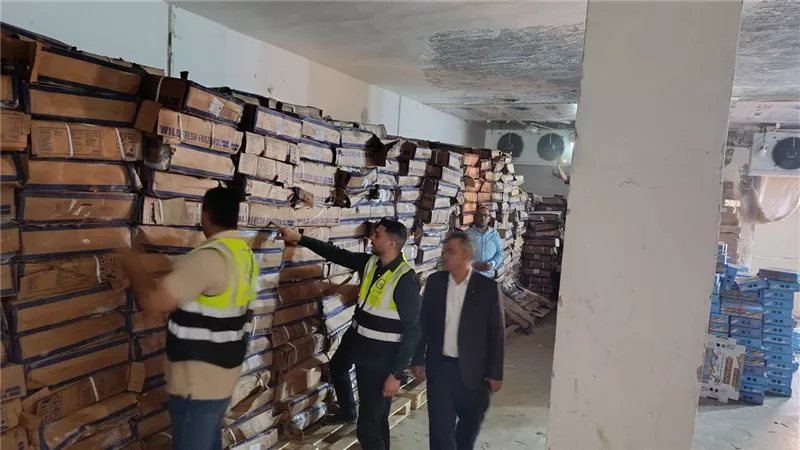 ضبط 41 طنًا من أسماك "الهارنج" غير الصالحة للاستهلاك قبل تحويلها إلى "رنجة" بالغربية (فيديو)