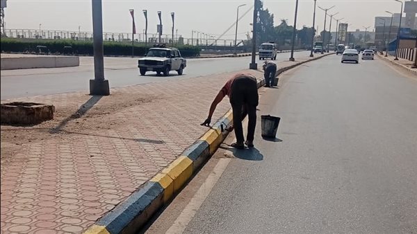 محافظ أسيوط يتابع أعمال رفع كفاءة الميادين والحدائق العامة والعناية بالأشجار