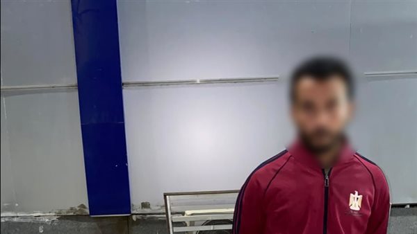 دهس طالبة بمدينة السادات وهرب، الأمن يكشف ملابسات الواقعة ويضبط قائد الدراجة