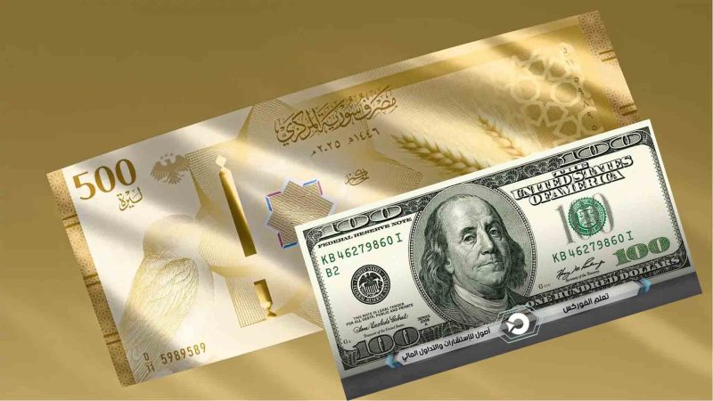 صرافون يتلاعبون بالعمولات والدولار.. خبير لـ«الوطن»: السوق بلا قوانين ناظمة
