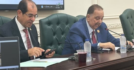 من الفصول الدراسية إلى الفضاء الرقمي.. برلماني يطرح رؤية لإنقاذ لغة الضاد
