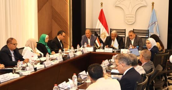 القومى لحقوق الإنسان: نصر أكتوبر أثبت أن الإرادة الوطنية قادرة على تجاوز التحديات