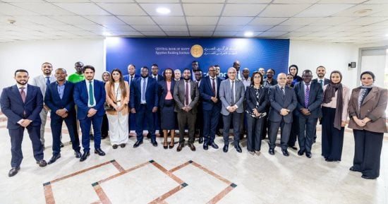 البنك المركزى يدعم قدرات البنوك المركزية بدول الكوميسا في "دمج المخاطر المناخية"