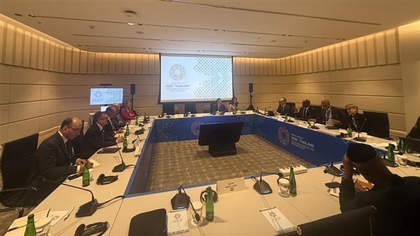 وزير الخارجية يبحث مع مؤسسة التمويل الدولية جهود دعم وتمكين القطاع الخاص
