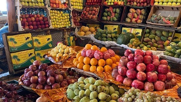 أسعار الفاكهة اليوم، انخفاض البرتقال وارتفاع كبير في الكاكا والبلح البارحي والسماني