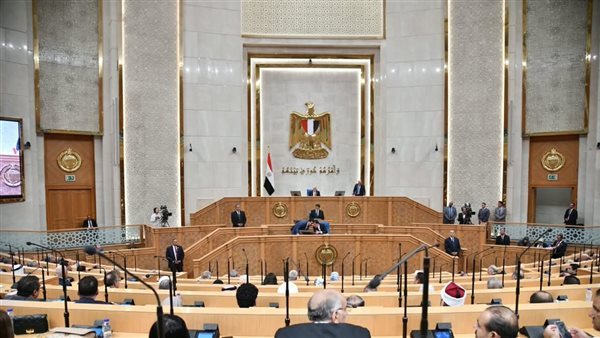 اليوم، إعادة تشكيل اللجان النوعية بمجلس الشيوخ وانتخاب هيئات مكاتبها