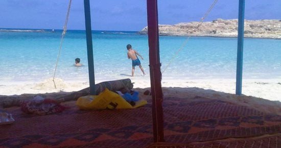 سباق المقاولات برأس الحكمة.. "الفنار" ترفع عقودها لـ30.6 مليون جنيه