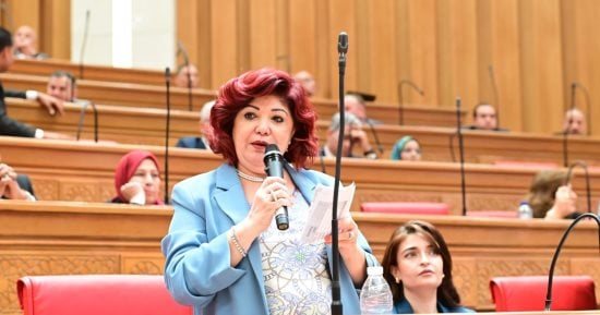 برلمانية: مصر حققت نجاحات كبيرة فى معركة الوعى.. والحرب لا تزال شرسة