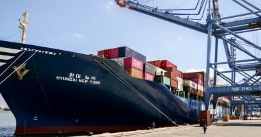 51 % تراجع بواردات مصر من القمح و12% من الذرة و34% من الزيوت في يوليو الماضي